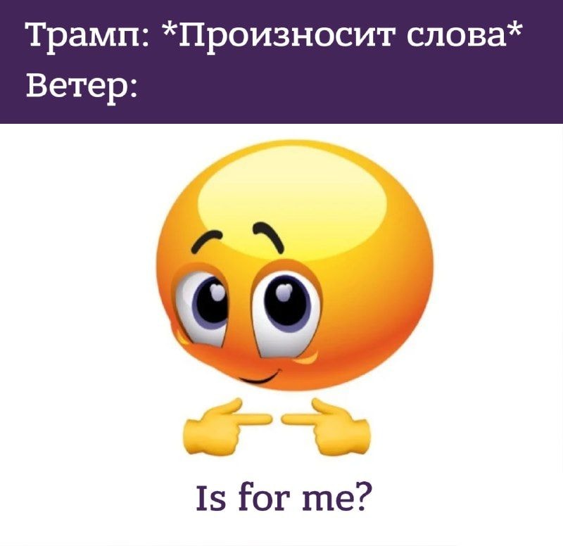 fbae280765cf82c1c91eab306hd.jpeg