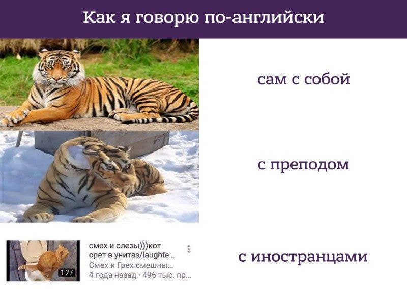 fbae280765cf82c1c91eab308hd.jpeg