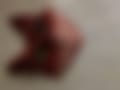 IMG_0511.jpeg