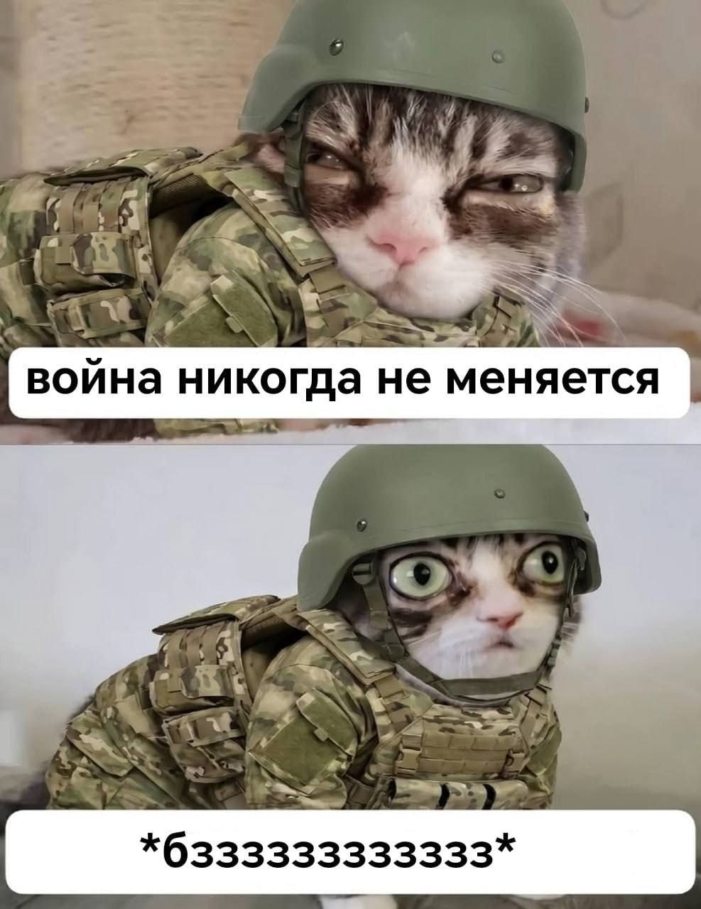 1000045577.jpg