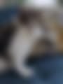 1000035433.jpg