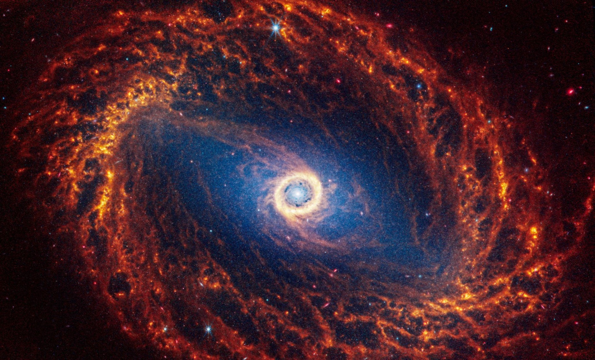 Галактика NGC 1512 находится на расстоянии 30 миллионов световых лет от Земли. via REUTER