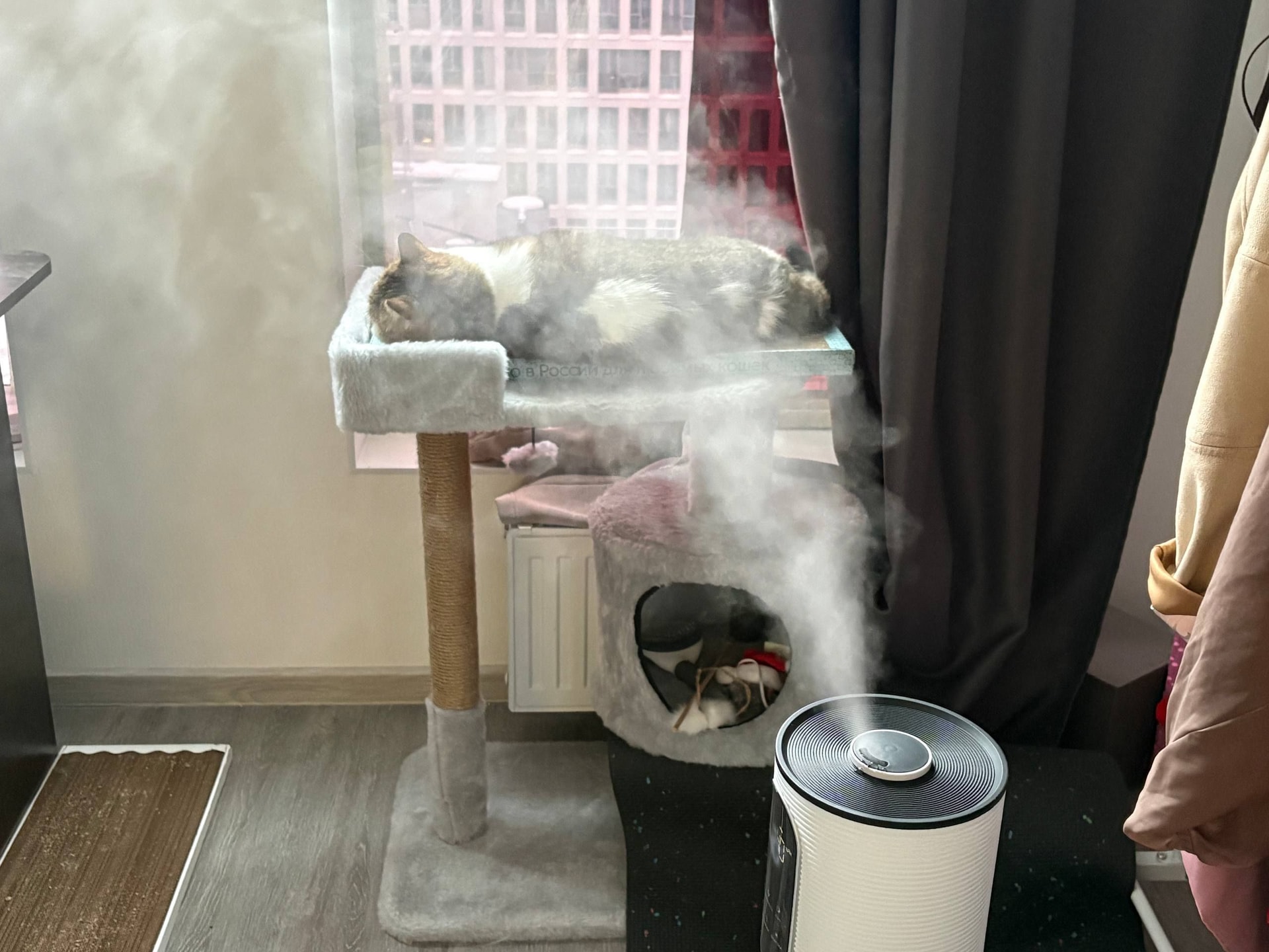 Изображение к статье Без заголовка