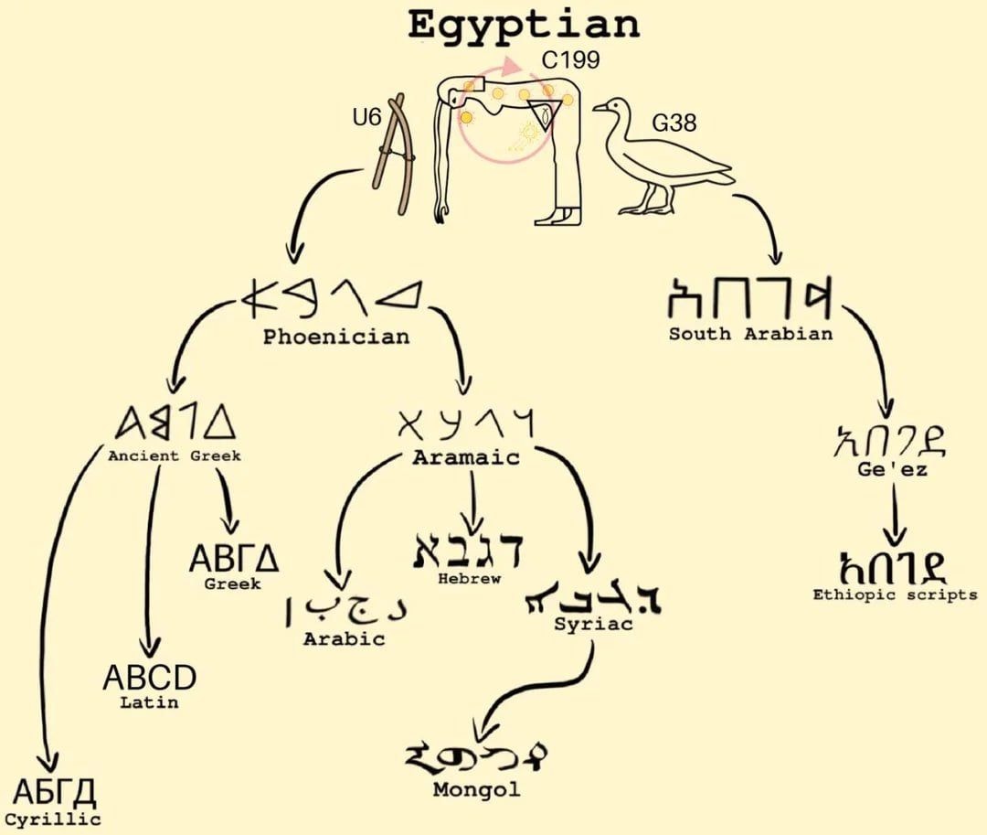 Изображение к статье Без заголовка