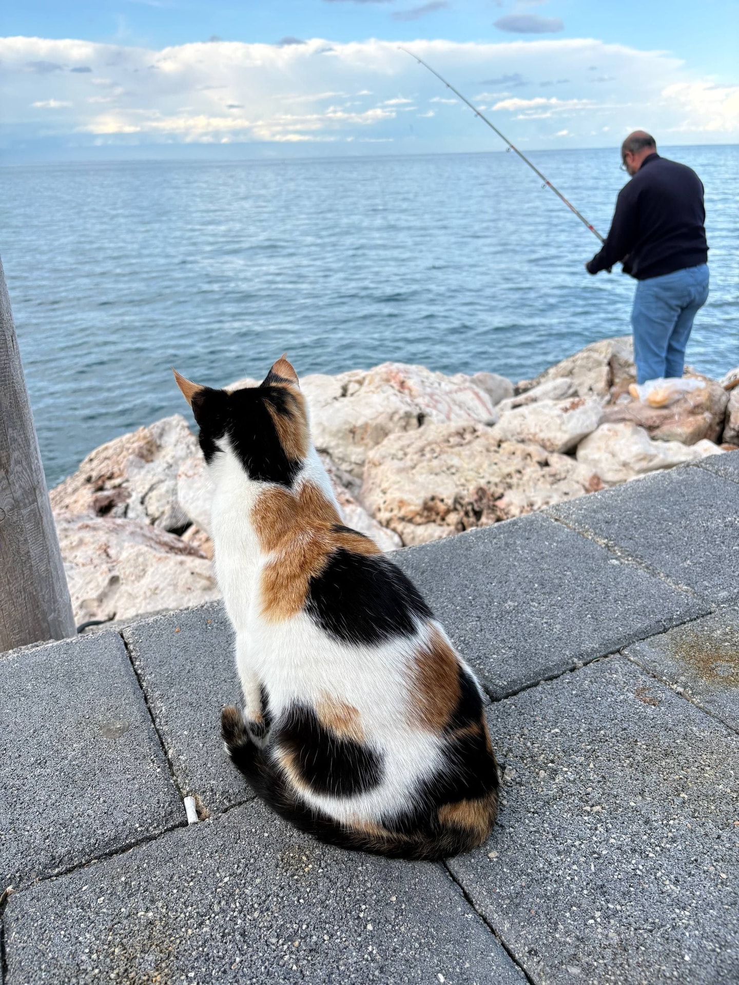 Изображение к статье Без заголовка