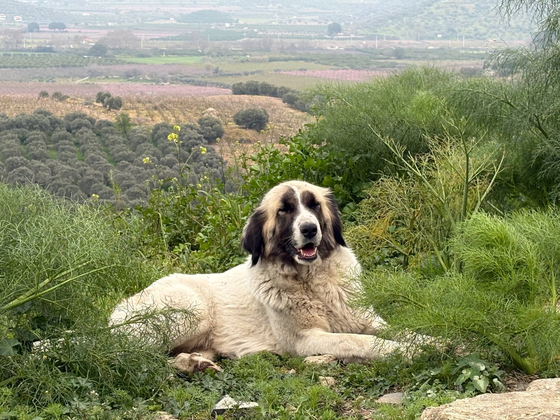 Изображение к статье Без заголовка