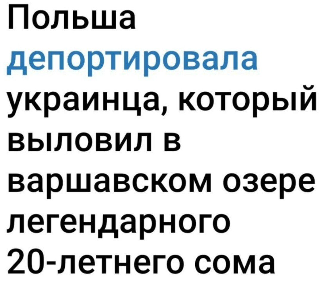 Изображение к статье Без заголовка