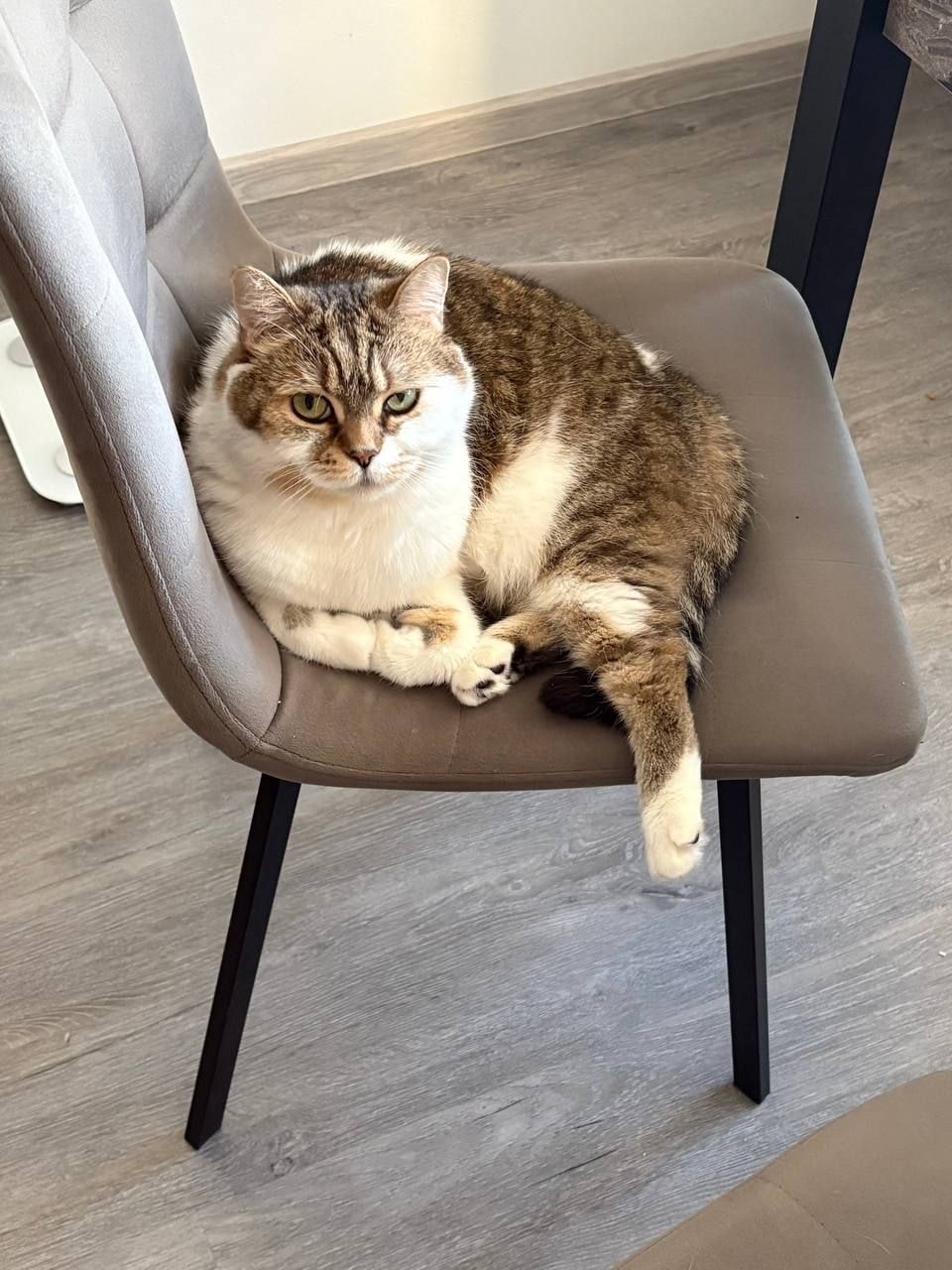 Изображение к статье Без заголовка