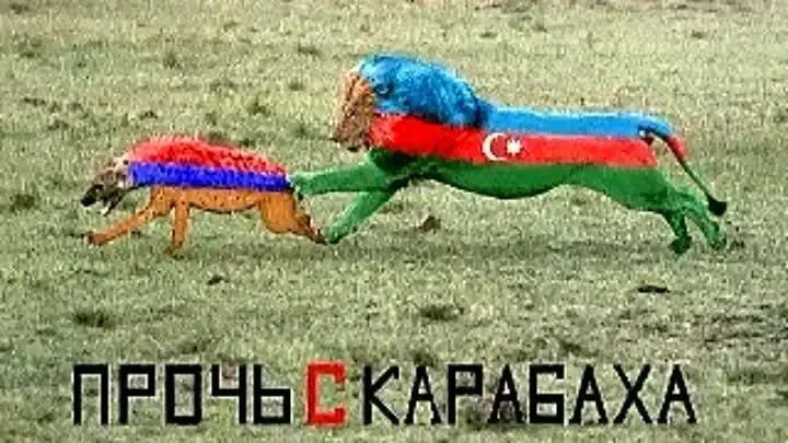 Изображение к статье Без заголовка